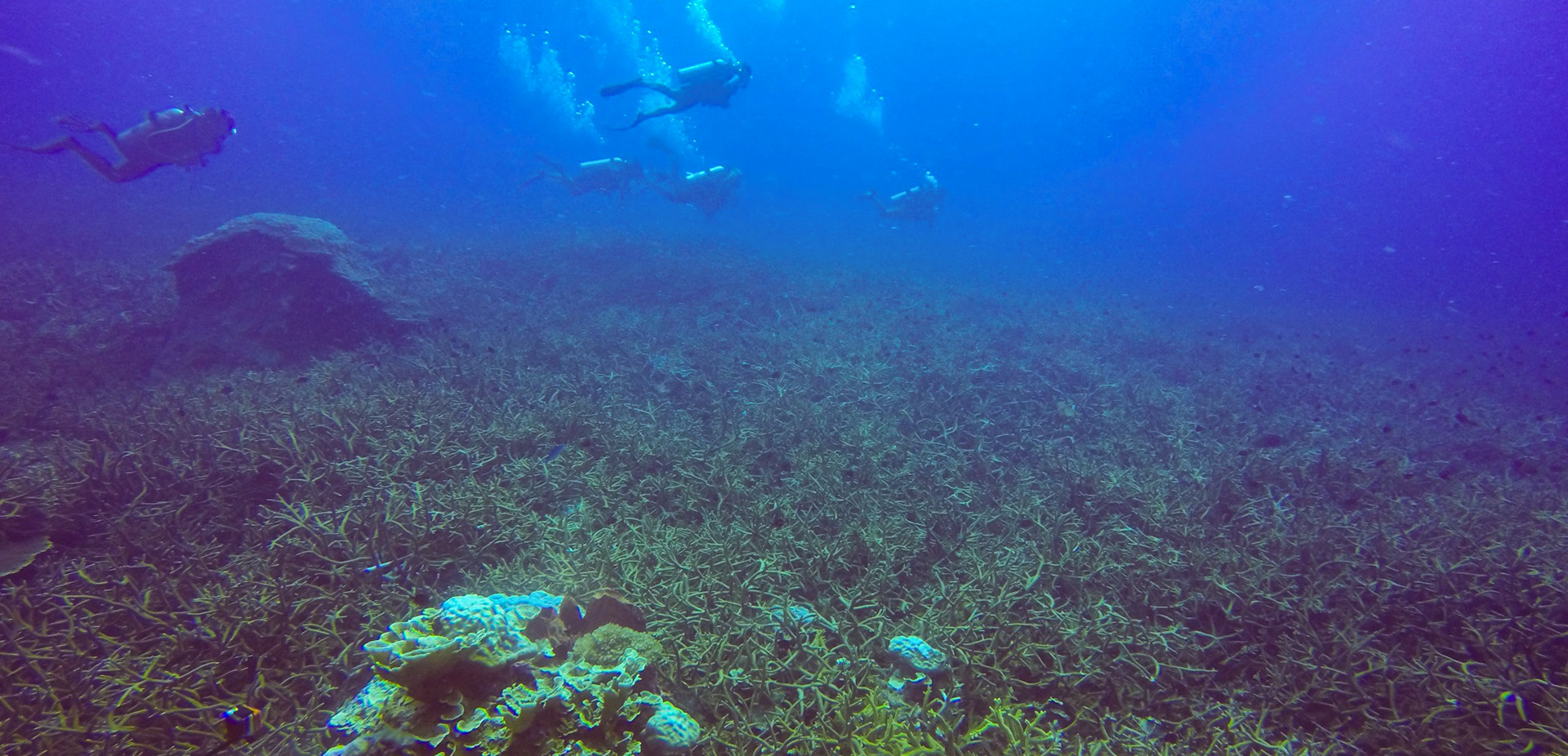 水处置惩罚手艺