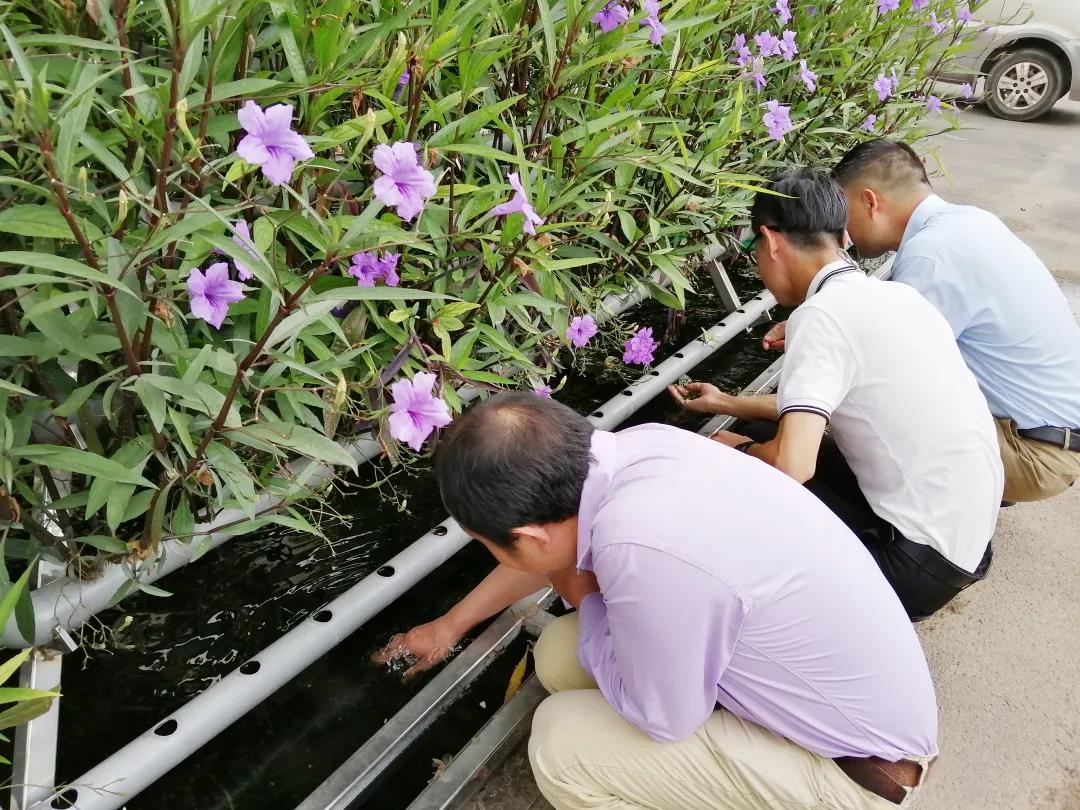 戴思乐泳池工程,戴思乐旅馆泳池工程