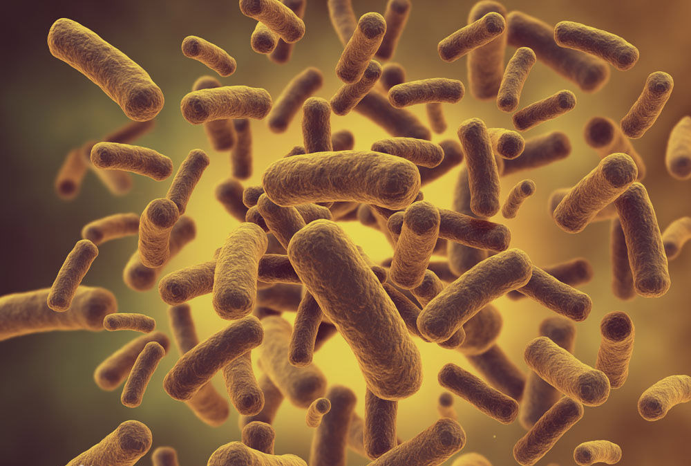 新葡的京集团350vip8888(中国)有限公司官网