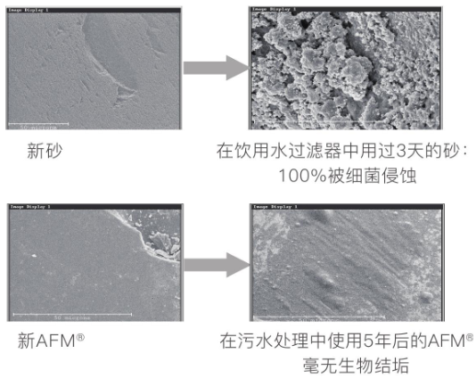 新葡的京集团350vip8888(中国)有限公司官网