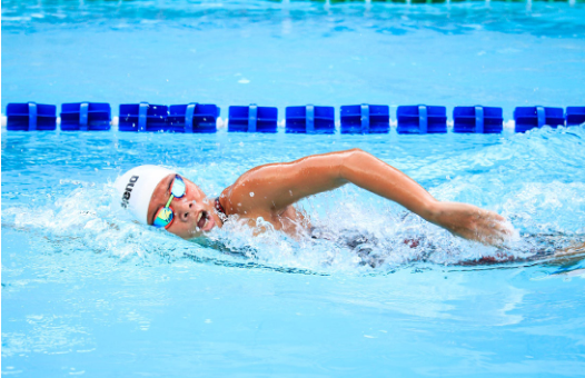 新葡的京集团350vip8888(中国)有限公司官网