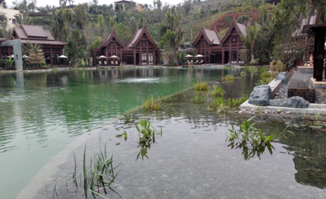 新葡的京集团350vip8888(中国)有限公司官网