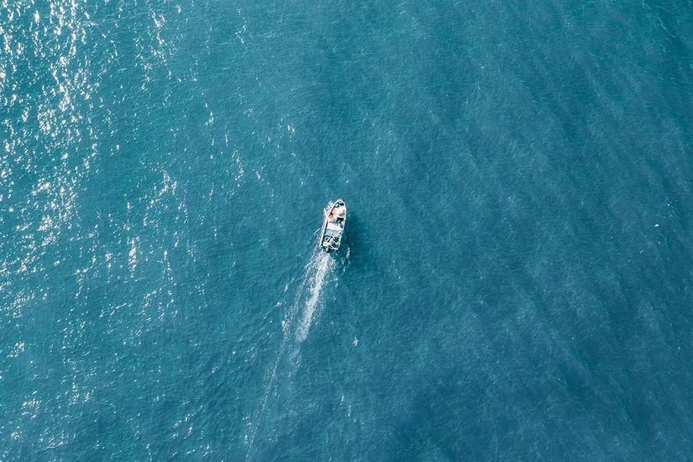 新葡的京集团350vip8888(中国)有限公司官网