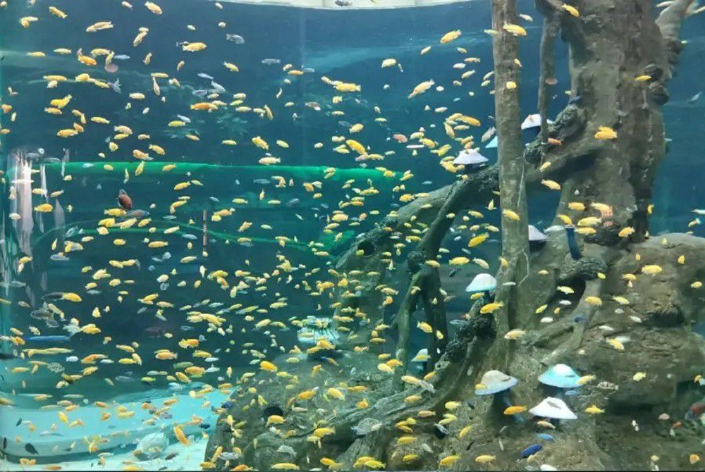 新葡的京集团350vip8888(中国)有限公司官网