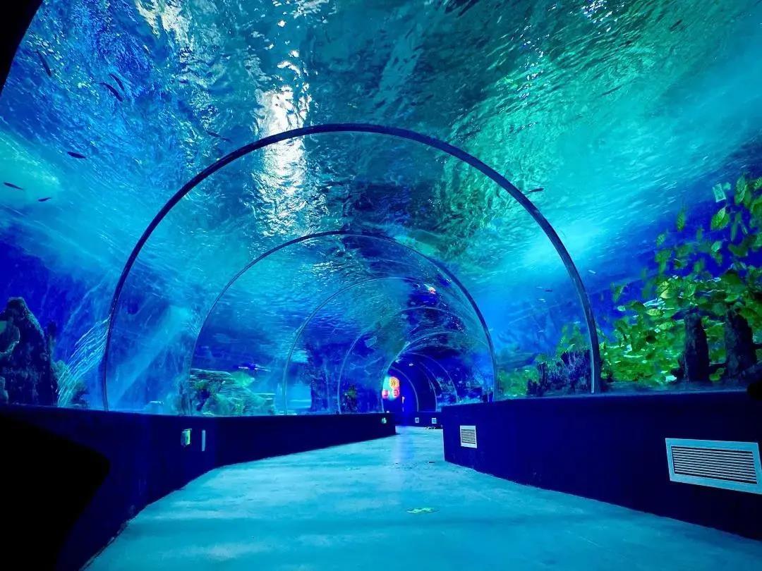 海洋馆,游洋馆水质处置惩罚