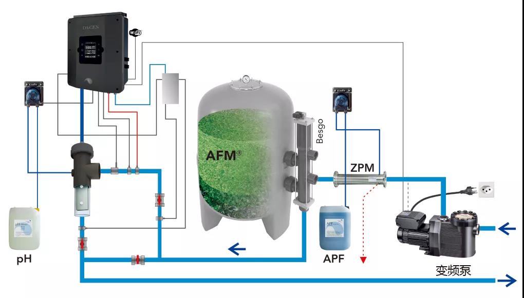 游泳池,泳池,水质处置惩罚