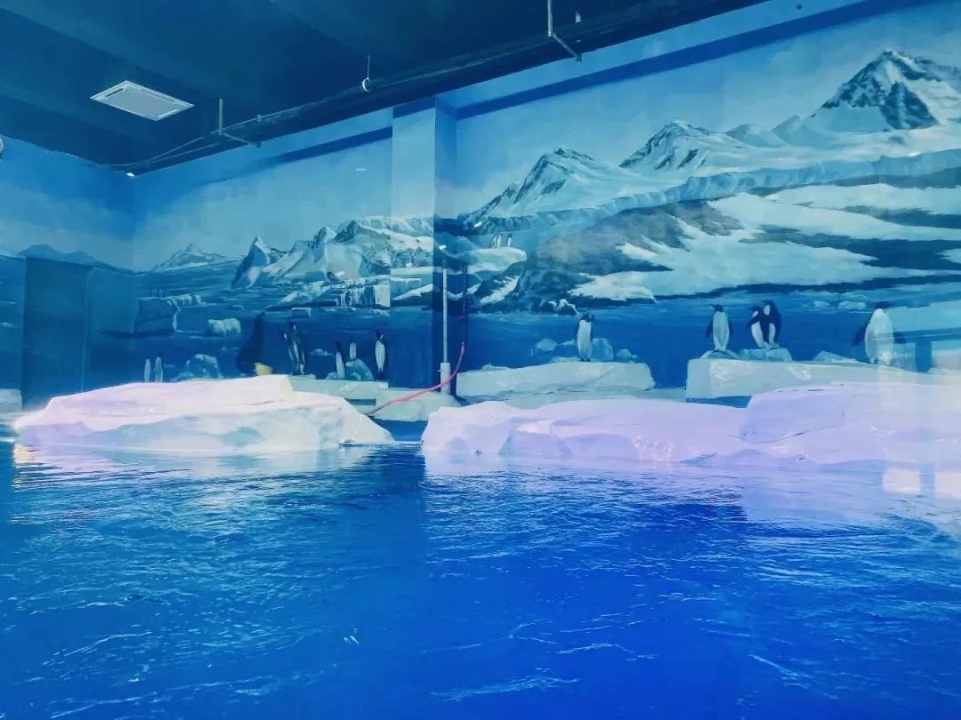 生态水情形治理