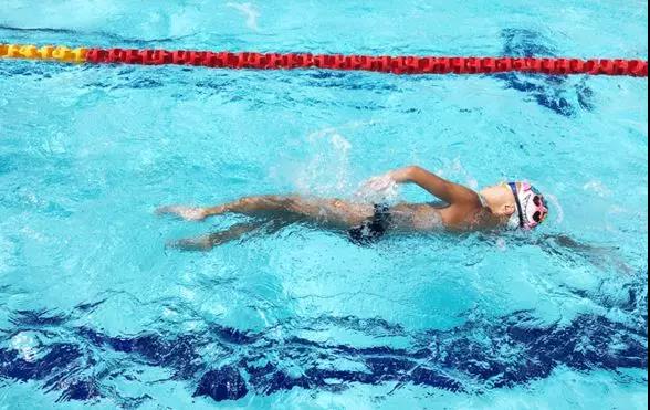 游泳池,水处置惩罚系统