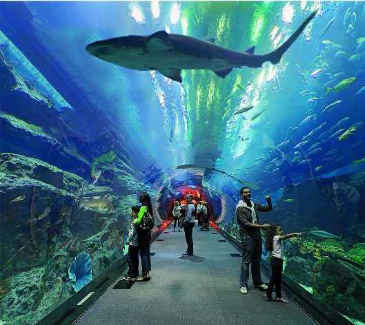 <b>海洋馆水质如那里置？水处置惩罚系统是要害！</b>