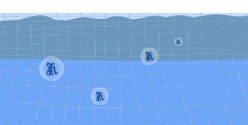 <b>游泳池中的氯对人体有哪些危害？泳池专家告诉你！</b>