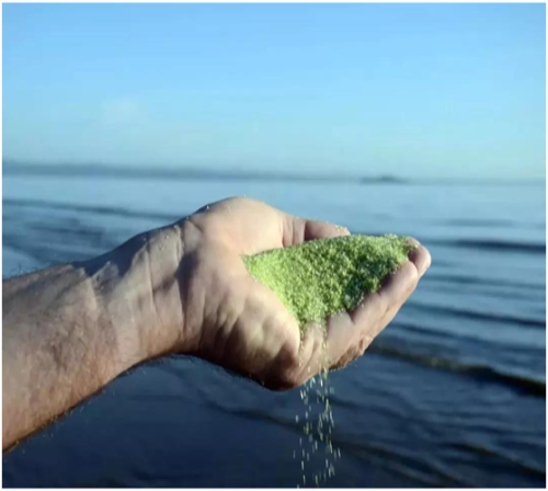 游泳池水处置惩罚,泳池水质处置惩罚