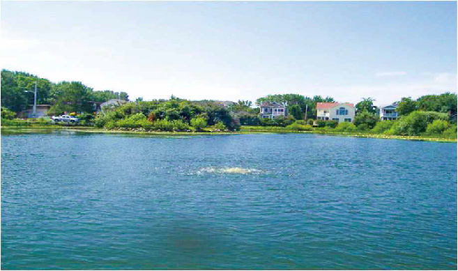 新葡的京集团350vip8888(中国)有限公司官网