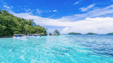 泳池装备,游泳池装备,泳池工程,戴思乐泳池