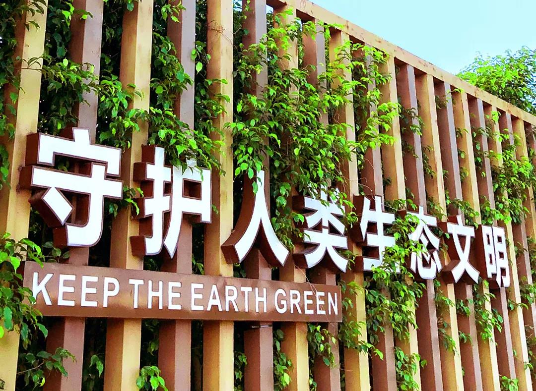 戴思乐董事长专访，戴思乐水处置惩罚手艺，戴思乐泳池装备