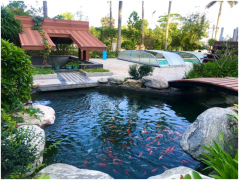 中水处置惩罚和污水处置惩罚有什么区别？