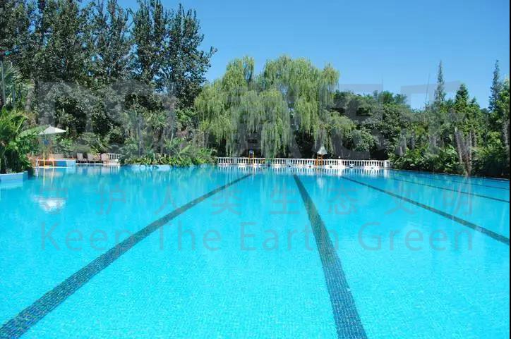 游泳池,泳池水处置惩罚