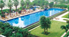 泳池水污浊怎么办？