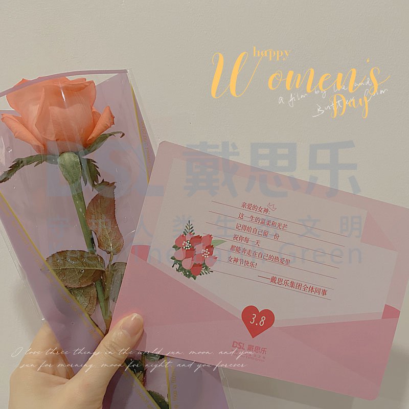 戴思乐,戴思乐集团