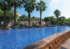 游泳池水处置惩罚手艺现在可以做到无氯的标准吗