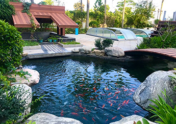 新葡的京集团350vip8888(中国)有限公司官网