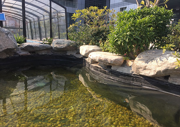 新葡的京集团350vip8888(中国)有限公司官网