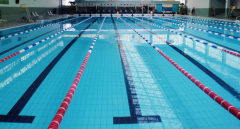 <b>游泳池为什么要做水处置惩罚？</b>