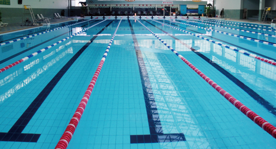 游泳池水处置惩罚,泳池水处置惩罚,水处置惩罚