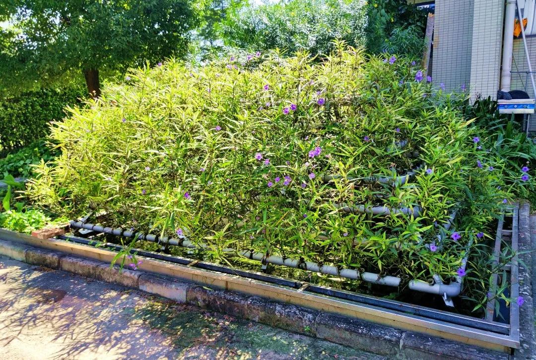 新葡的京集团350vip8888(中国)有限公司官网