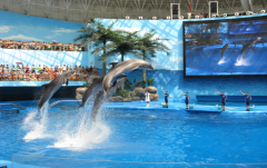 海洋馆里的水怎么过滤？