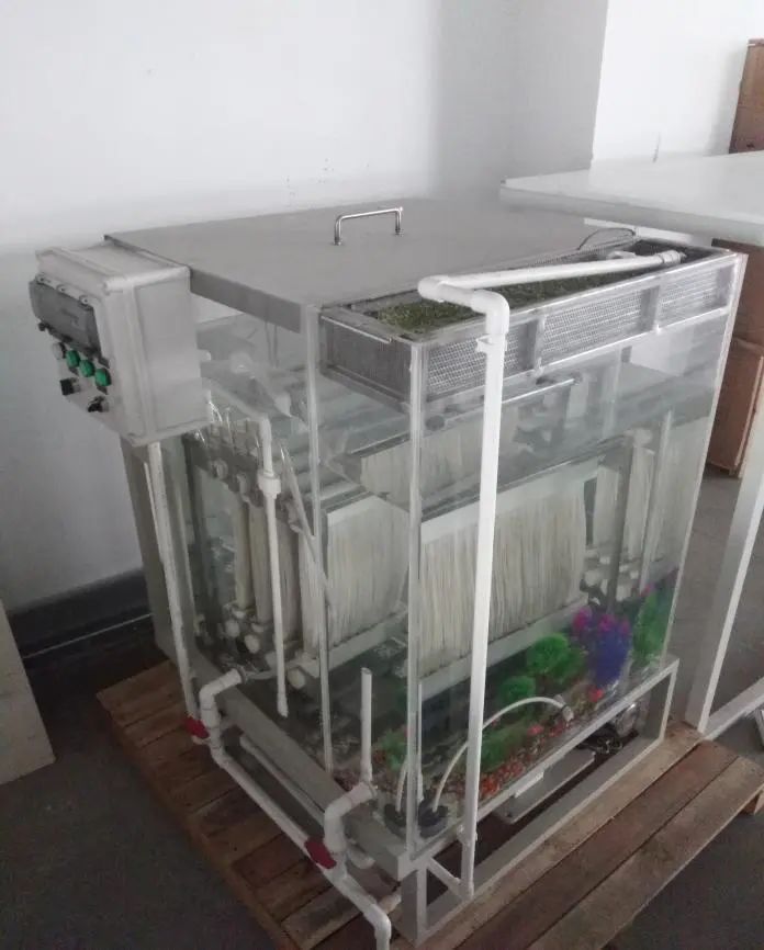 新葡的京集团350vip8888(中国)有限公司官网