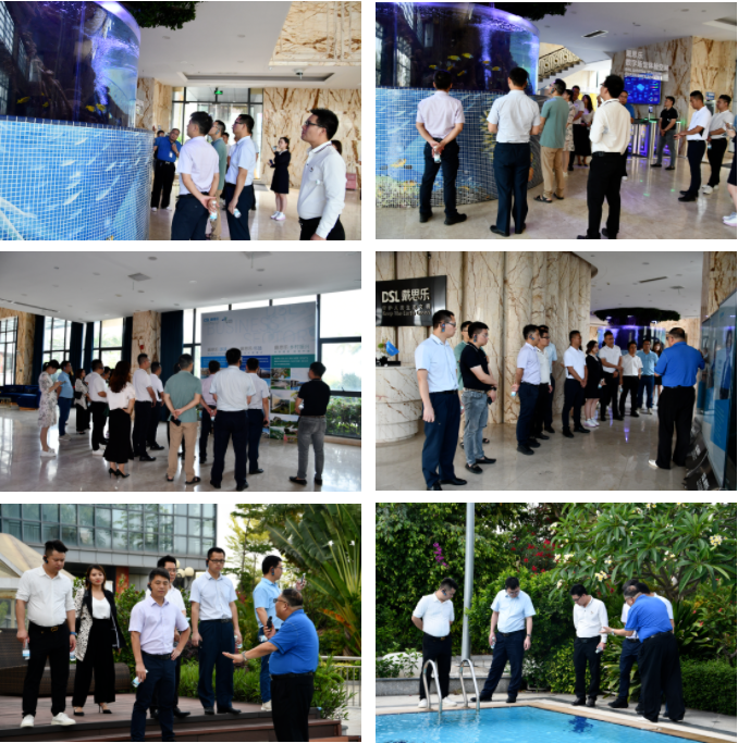 新葡的京集团350vip8888(中国)有限公司官网