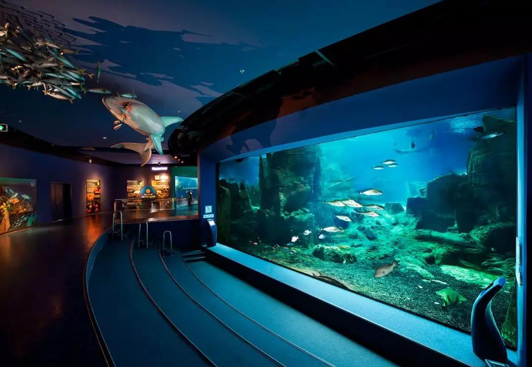 如作甚海洋馆打造康健生态的水情形？