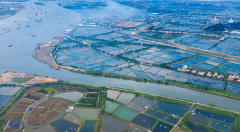 包管水质还高产！那是由于鱼苗养殖户都用上了“它”！