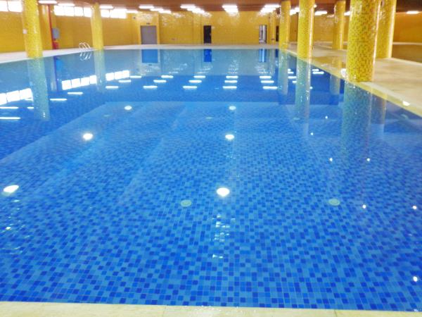 游泳池水净化系统,游泳池水处置惩罚系统