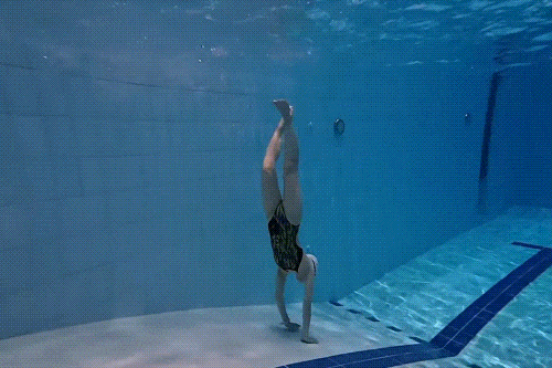 新葡的京集团350vip8888(中国)有限公司官网