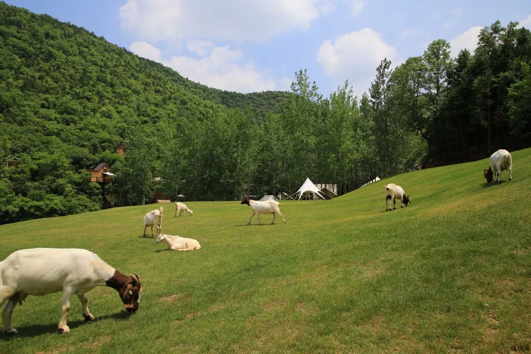 新葡的京集团350vip8888(中国)有限公司官网