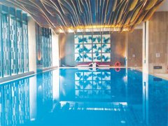 戴思乐游泳池不锈钢过滤器，游泳池水质的守护者，耐用与效率并存！