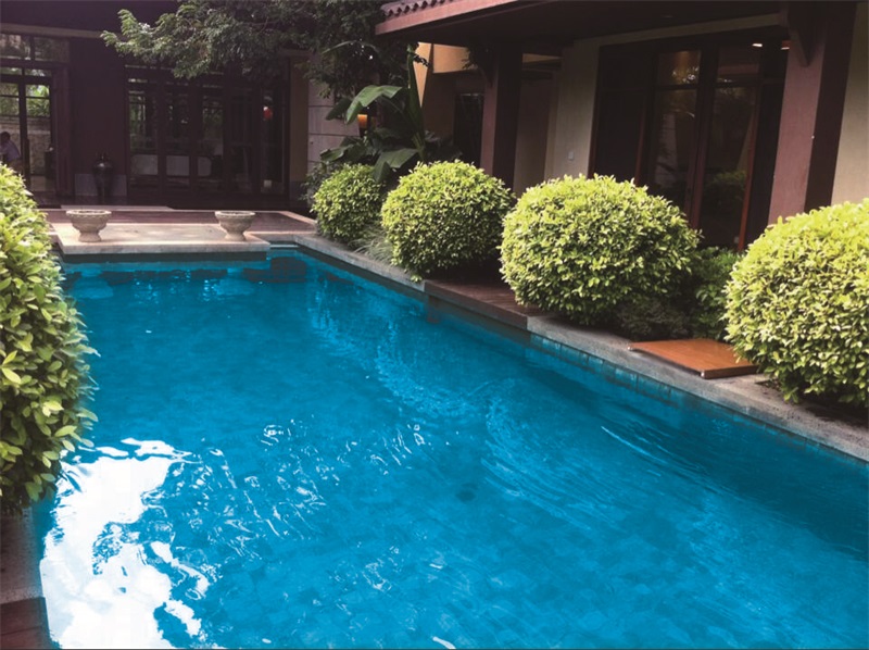 新葡的京集团350vip8888(中国)有限公司官网