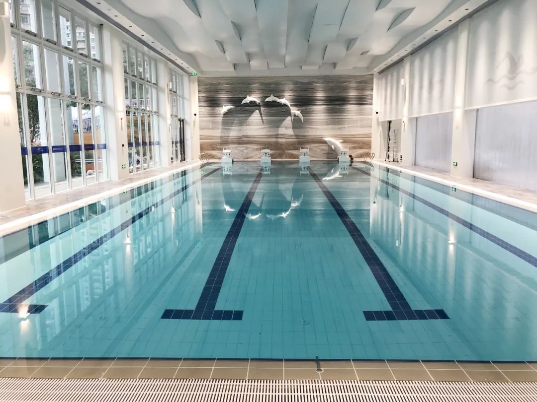 专业剖析!打造康健游泳池,这些水处置惩罚装备必不可少
