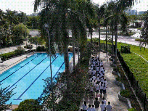 新葡的京集团350vip8888(中国)有限公司官网