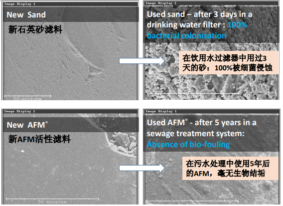 新葡的京集团350vip8888(中国)有限公司官网