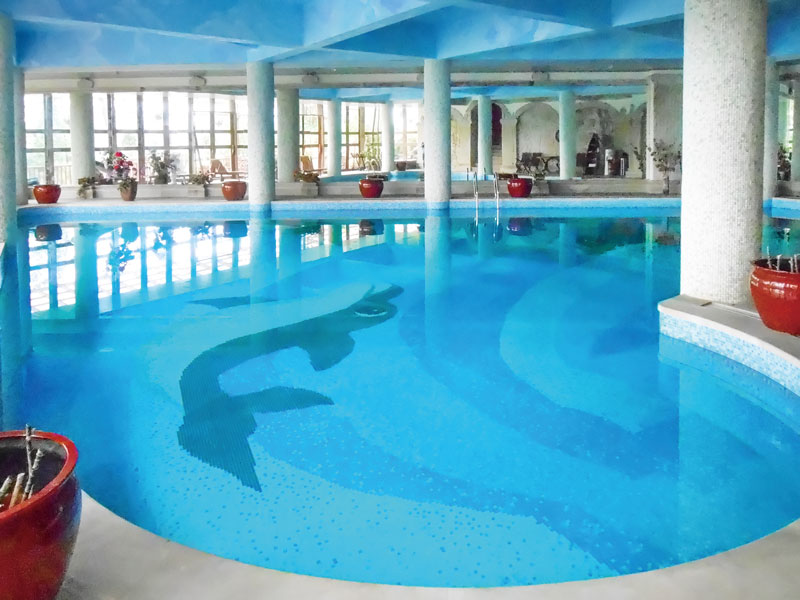 游泳池水变绿,游泳池水污浊,游泳池水发绿,游泳池污浊缘故原由