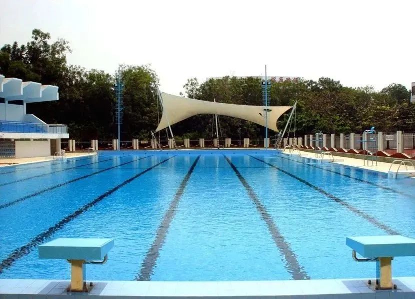 游泳池长藻难整理？5 个高效除藻技巧，让池水秒变清亮！