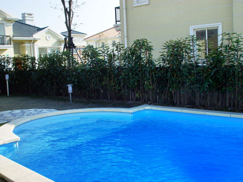 游泳池水质处置惩罚技巧,游泳池水质处置惩罚,游泳池水质处置惩罚要领