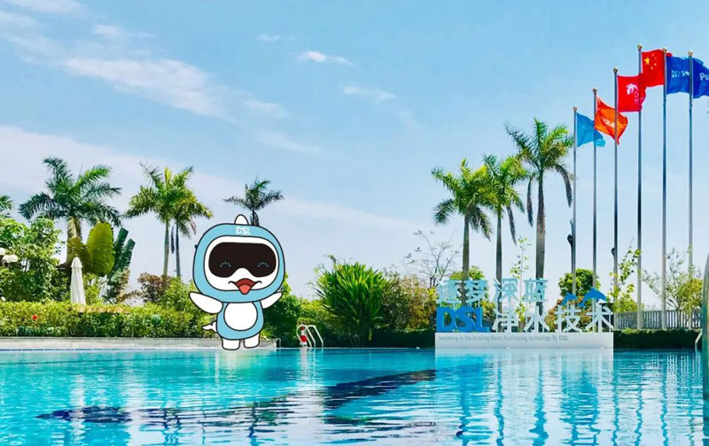 豪华别墅游泳池水处置惩罚装备,豪华别墅游泳池,别墅游泳池装备