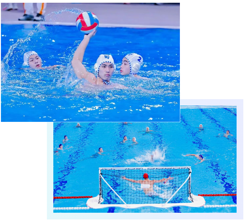 新葡的京集团350vip8888(中国)有限公司官网