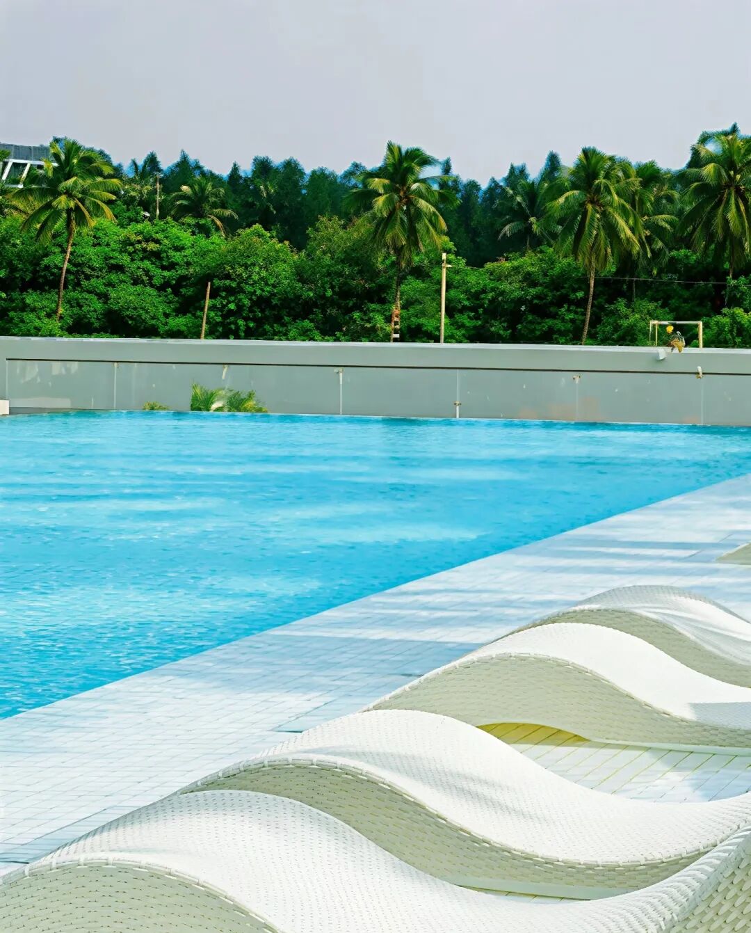 新葡的京集团350vip8888(中国)有限公司官网